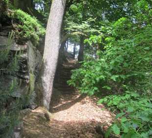 Auf dem Weg zum Hilschweiher