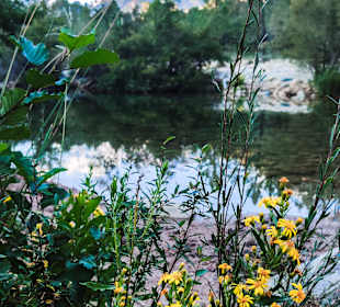 Wandern Sari-Solenzara