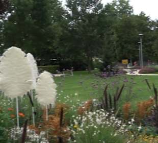 Blühendes Neresheim