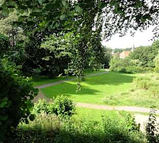 Spaziergang durch den Stadtpark