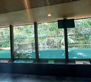 Singapur Zoo
