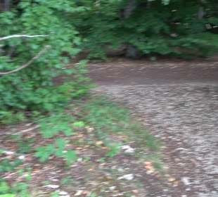 Tour entlang der Traifelbergfelsen