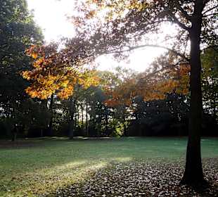 Herbstspaziergang durch den Schlosspark