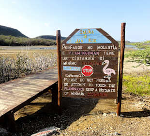 Beobachtungsposten an der Saline Sint Marie