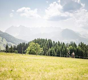 Sport & Freizeit