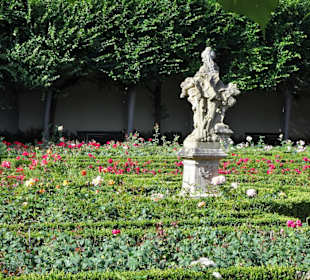 Rundgang durch den Rosengarten der Neuen Residenz