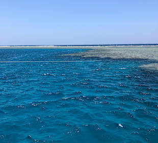 Schnorcheln Abu Dabab