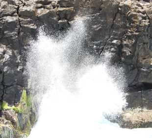 Auf keinen Fall die Wege/ruhigen Stellen verlassen