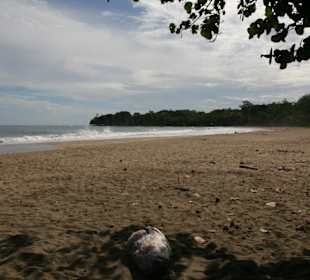 Strand von Cocles