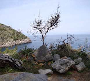 Ausblick entlang der Strasse Camí del Far