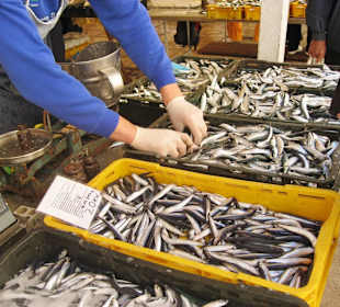Fischmarkt in Split