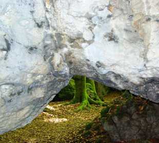 Die Esperhöhle
