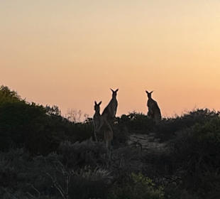Kalbarri Nationalpark