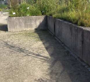 Botanischer Garten München