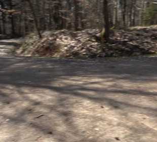 Historischer Rundwanderweg Aichtal