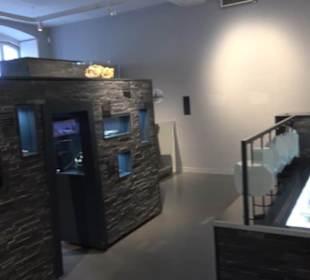 Museum für Naturkunde