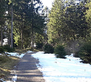 Wanderwege neben Skilift in Farchant 