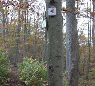 Wandern um die Rauber Ruine