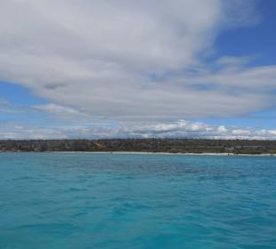 Bahia de las Aguilas
