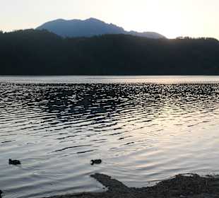 Beim Levicosee im Trentino bei Levico Terme