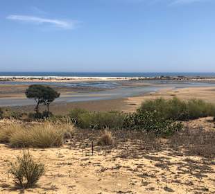 Wandern Cabanas de Tavira