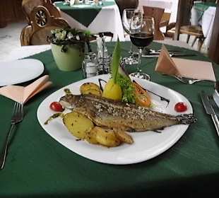 Forelle Müllerinnenart