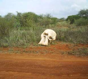 Eingang Nationalpark Tsavo Ost