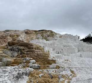 Yellowstone Nationalpark