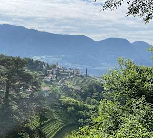 Blick auf Dorf Tirol
