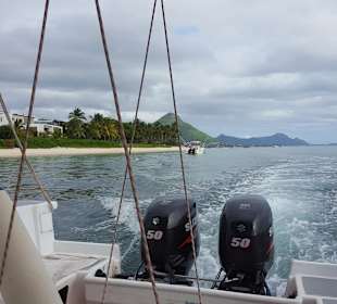Fahrt mit dem Glasbodenboot