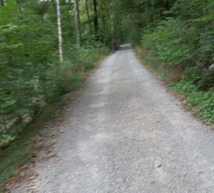 Altwege Rundwanderung Bebenhausen