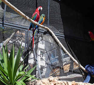 Marineland - September 2013