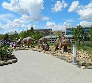 Weg vom Perkplatz zum Museum