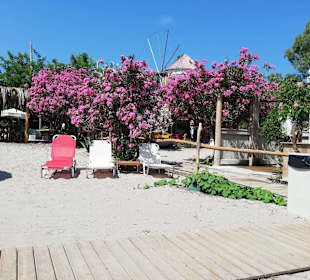 Mylos Beach Bar