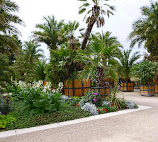 Palmengarten