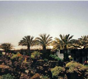 Lanzarote Im Timanfaya Park