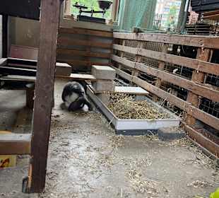 Kinderbauernhof Het Bukske