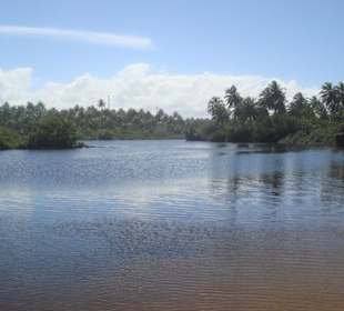 Lagune