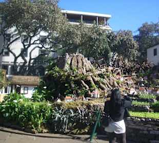 Krippe - Weihnachten