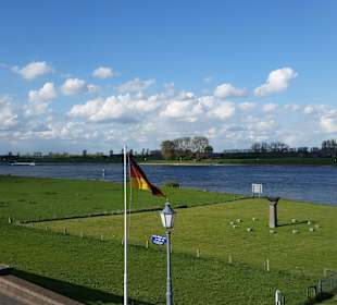 Rheinblick