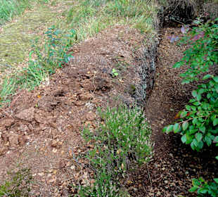 Handstich-Torfabbau am Wanderweg
