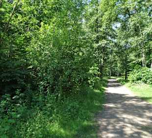 Eindrücke aus dem Eppendorfer Moor