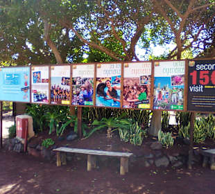 Oasis Park in La Lajita