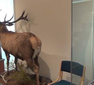 Naturkundemuseum