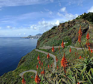 Kurvige Straße zum Strand