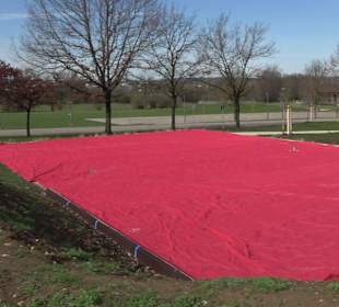 Gomaringer Rundweg - Zu den Giganten im Wald