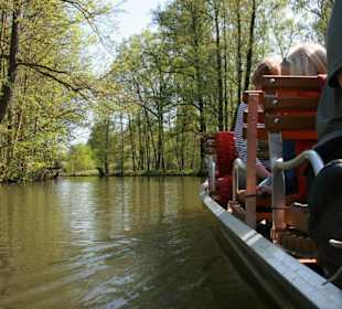 Kahnfahrt durch den idyllischen Spreewald