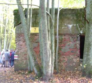 Wolfsschanze