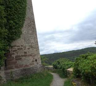 Burg Hohennagold