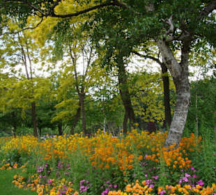 Parc Monceau